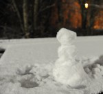 DSC_3361-K.jpg